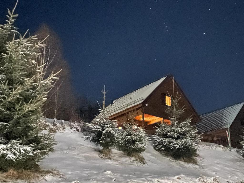 Chata Lisa Stronie Śląskie Extérieur photo
